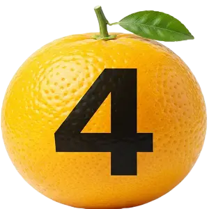 4위